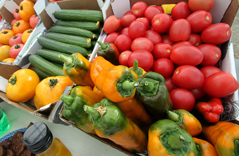 В России собрано почти 1,2 млн тонн тепличных овощей